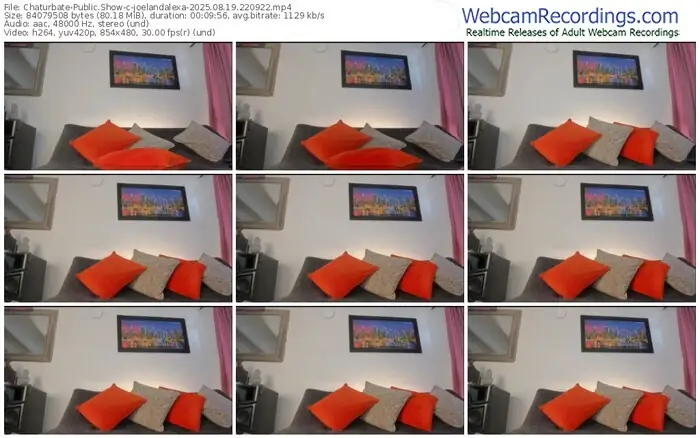 chaturbate-joelandalexa-08-19-2025-22-09-22