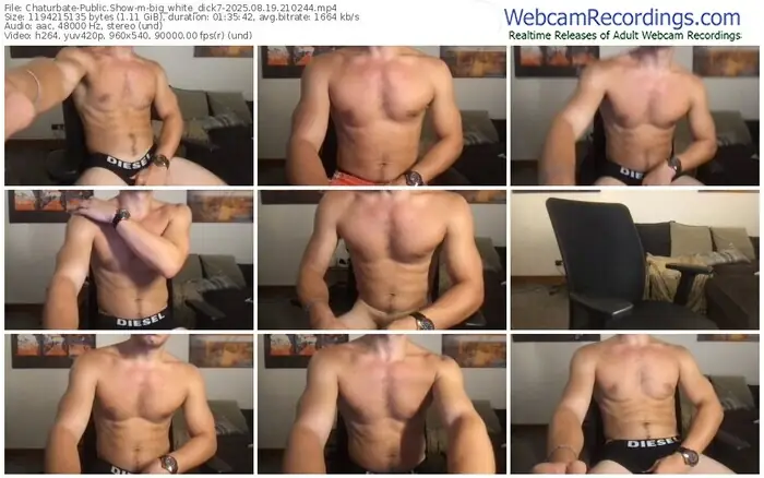 chaturbate-big_white_dick7-08-19-2025-21-02-44