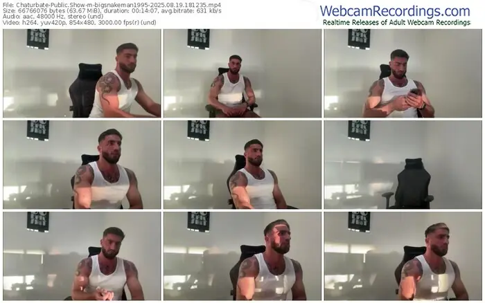chaturbate-bigsnakeman1995-08-19-2025-18-12-35