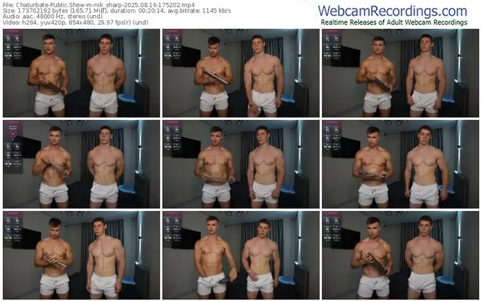 chaturbate-nik_sharp-08-19-2025-17-52-02