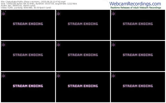 chaturbate-minions_-08-20-2025-11-47-42