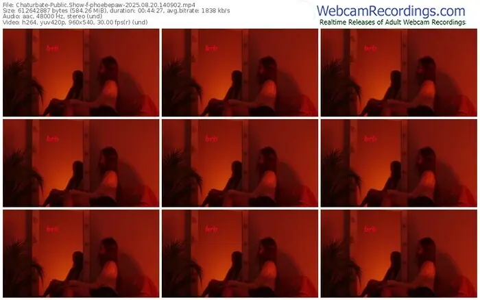 chaturbate-phoebepaw-08-20-2025-14-09-02