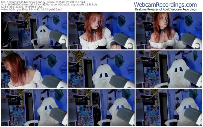 chaturbate-sunny_mouse-08-20-2025-20-11-50