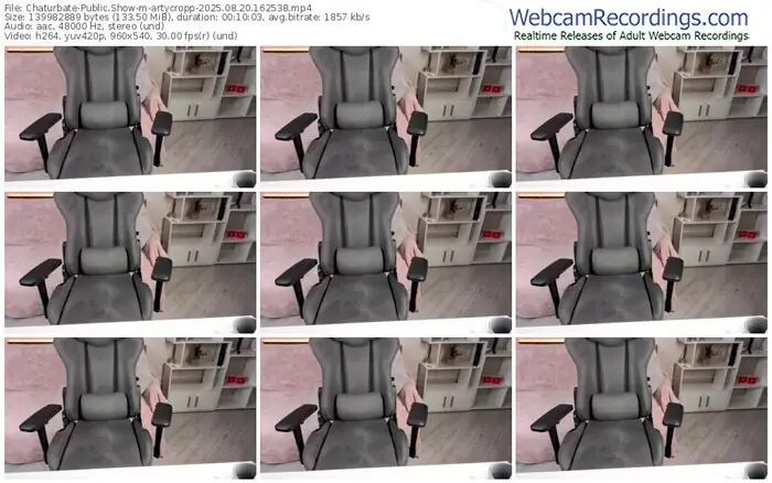 chaturbate-artycropp-08-20-2025-16-25-38