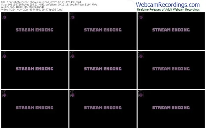 chaturbate-minions_-08-21-2025-12-04-31