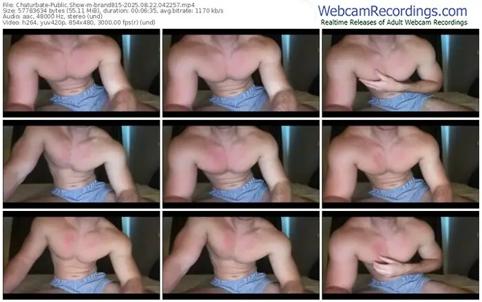 chaturbate-brand815-08-22-2025-04-22-57