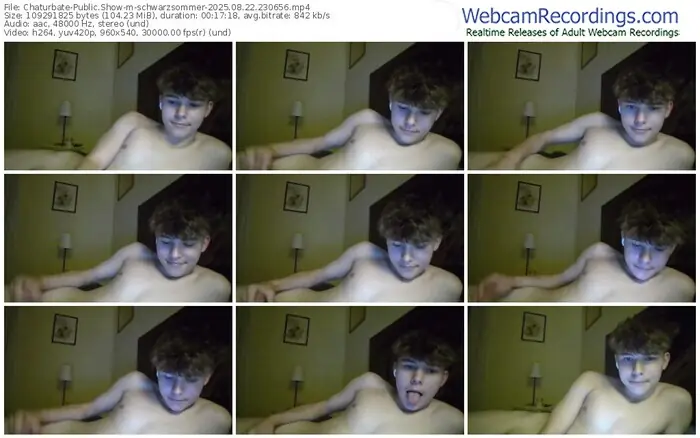 chaturbate-schwarzsommer-08-22-2025-23-06-56