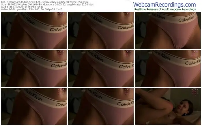 chaturbate-shickshackshock-08-23-2025-22-18-54