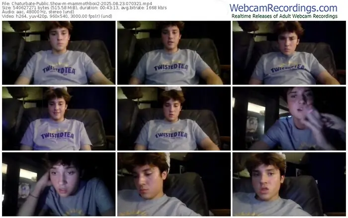 chaturbate-mammothboii2-08-23-2025-07-03-21