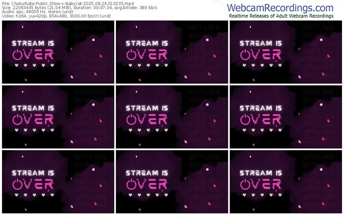 chaturbate-8abycat-08-24-2025-01-02-35