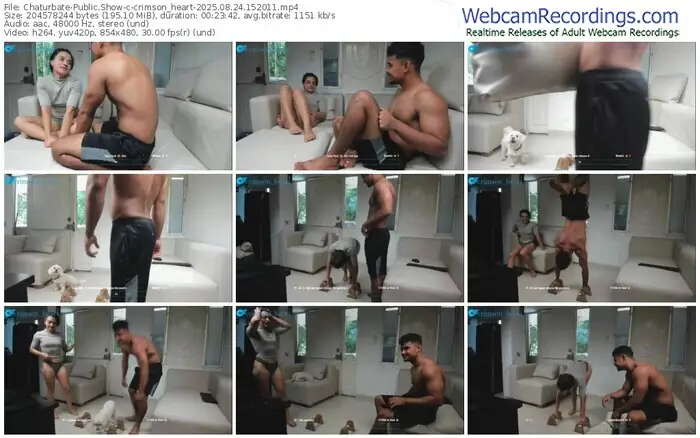 chaturbate-crimson_heart-08-24-2025-15-20-11