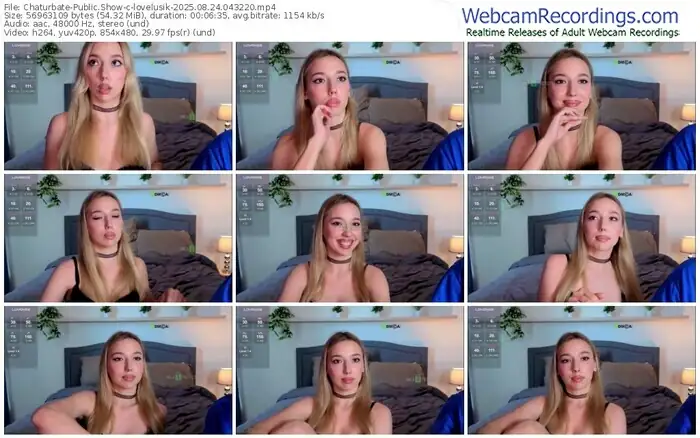 chaturbate-lovelusik-08-24-2025-04-32-20