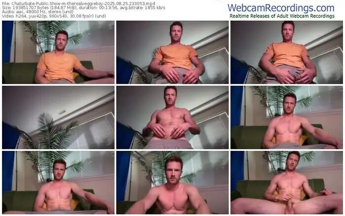chaturbate-therealveggieboy-08-25-2025-23-30-53
