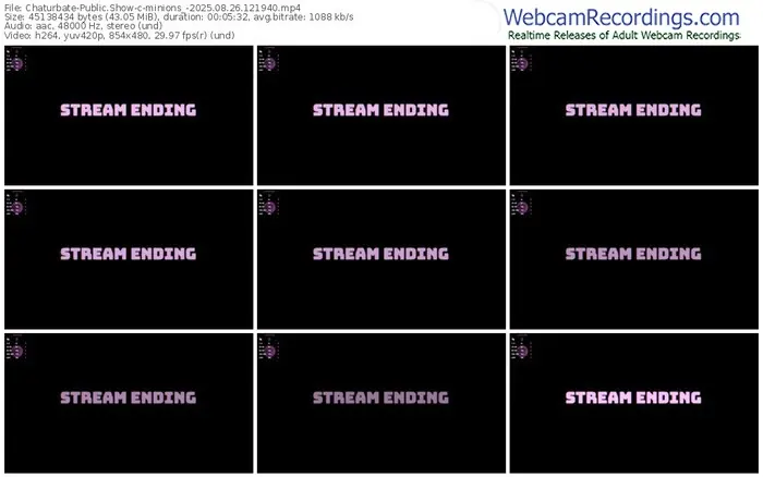 chaturbate-minions_-08-26-2025-12-19-40