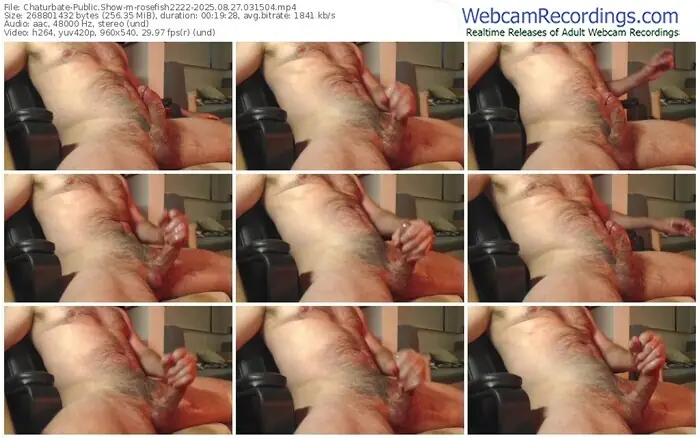 chaturbate-rosefish2222-08-27-2025-03-15-04