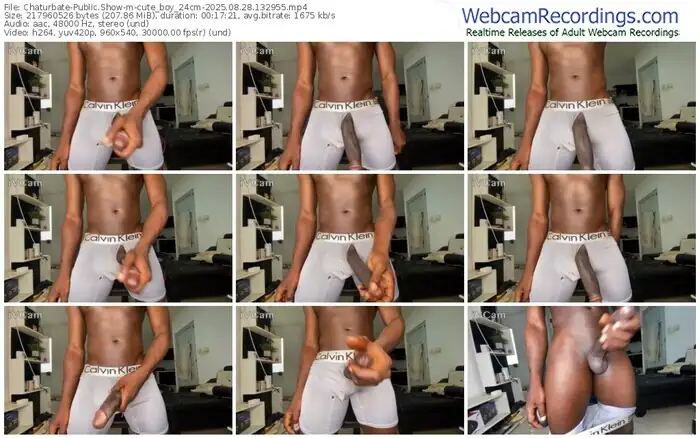 chaturbate-cute_boy_24cm-08-28-2025-13-29-55