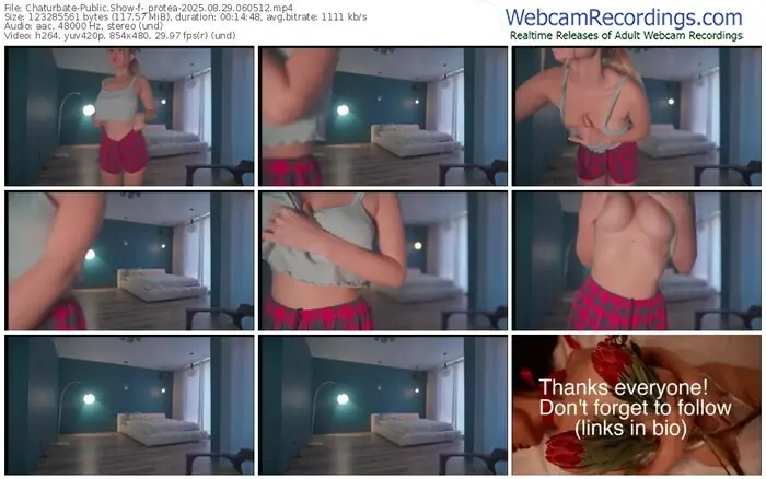 chaturbate-_protea-08-29-2025-06-05-12