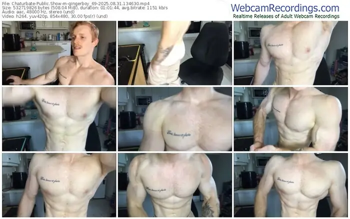 chaturbate-gingerboy_69-08-31-2025-13-46-30