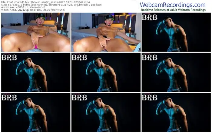 chaturbate-santin_seans-09-01-2025-02-38-42