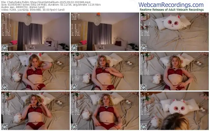 chaturbate-burnletitallburn-09-02-2025-19-33-48