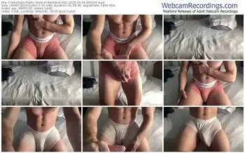 chaturbate-bestdick1991-09-04-2025-00-01-00