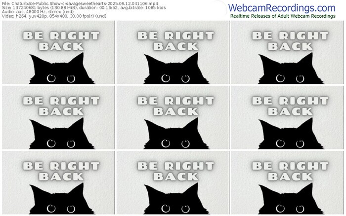 chaturbate-savagesweethearts-09-12-2025-04-11-06