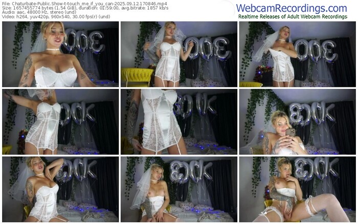 chaturbate-touch_me_if_you_can-09-12-2025-17-08-46