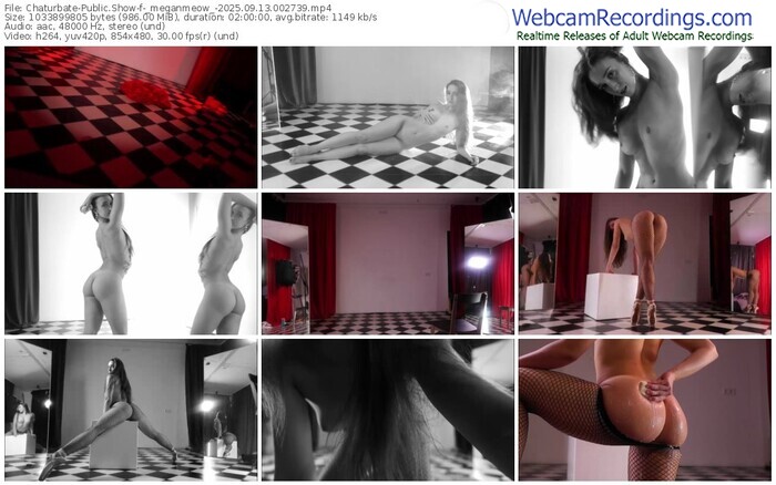 chaturbate-_meganmeow_-09-13-2025-00-27-39