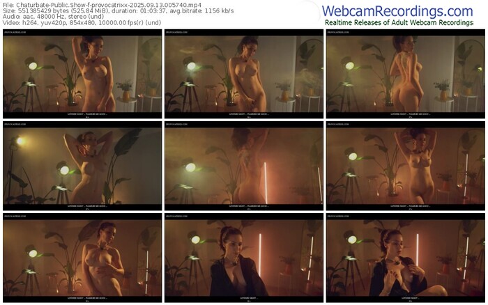 chaturbate-provocatrixx-09-13-2025-00-57-40