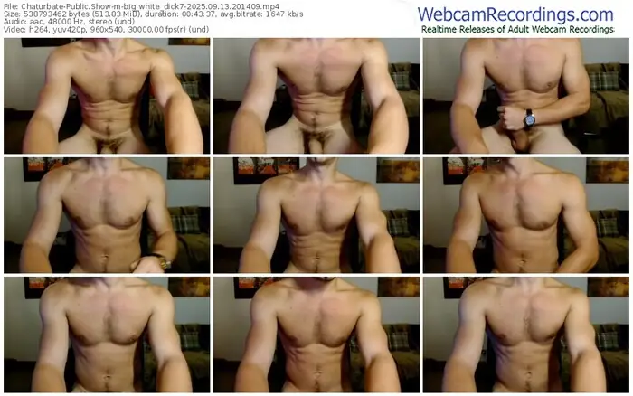 chaturbate-big_white_dick7-09-13-2025-20-14-09