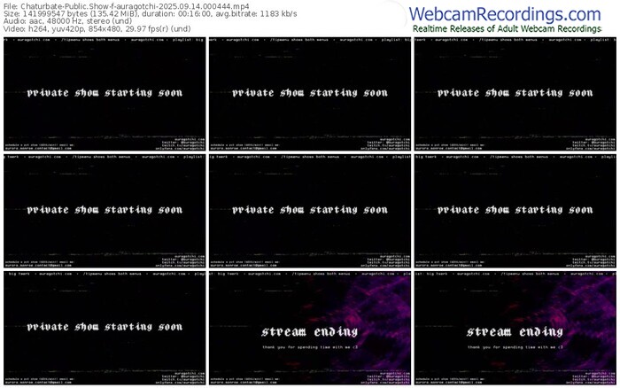 chaturbate-auragotchi-09-14-2025-00-04-44