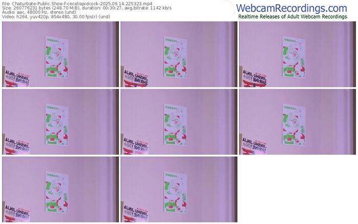 chaturbate-ceceliapidcock-09-14-2025-22-53-23