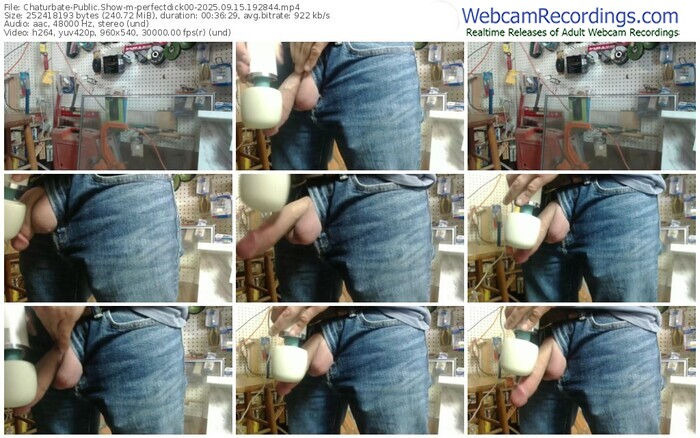 chaturbate-perfectdick00-09-15-2025-19-28-44