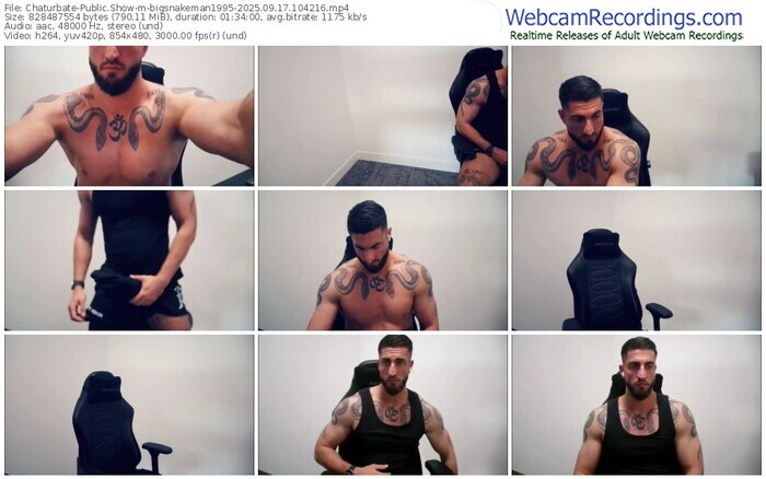 chaturbate-bigsnakeman1995-09-17-2025-10-42-16