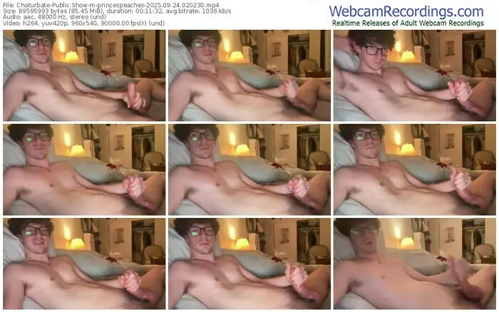 chaturbate-princespeaches-09-24-2025-02-02-30