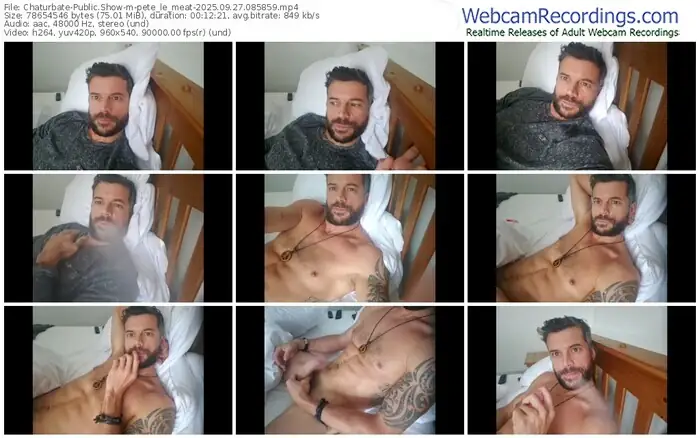 chaturbate-pete_le_meat-09-27-2025-08-58-59