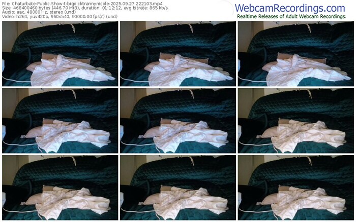 chaturbate-bigdicktrannynicole-09-27-2025-22-21-03