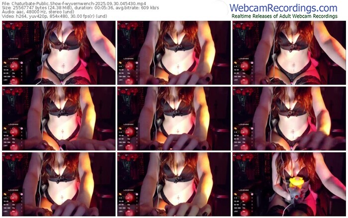 chaturbate-wyvernwench-09-30-2025-04-54-30