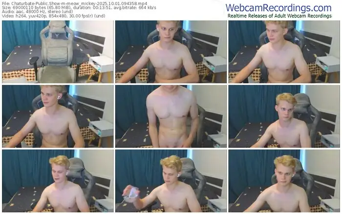 chaturbate-meow_mickey-10-01-2025-09-43-58
