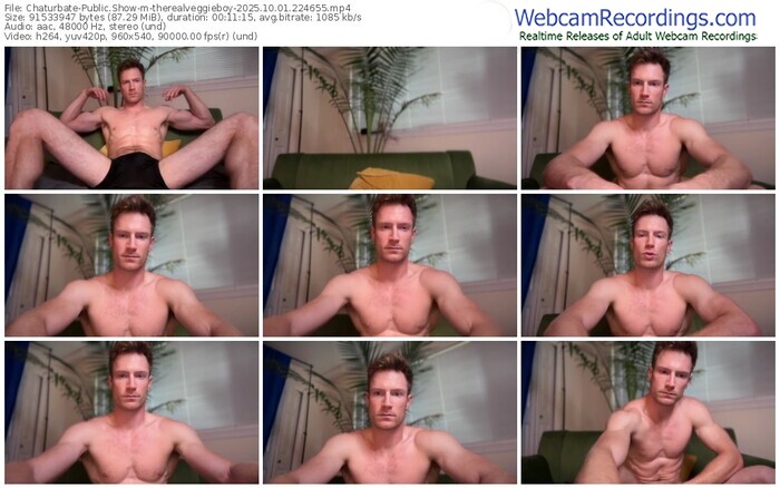 chaturbate-therealveggieboy-10-01-2025-22-46-55