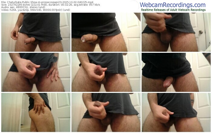 chaturbate-proseccopapi23-10-02-2025-04-02-25