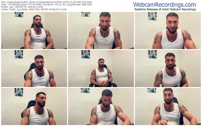 chaturbate-bigsnakeman1995-10-03-2025-08-27-44