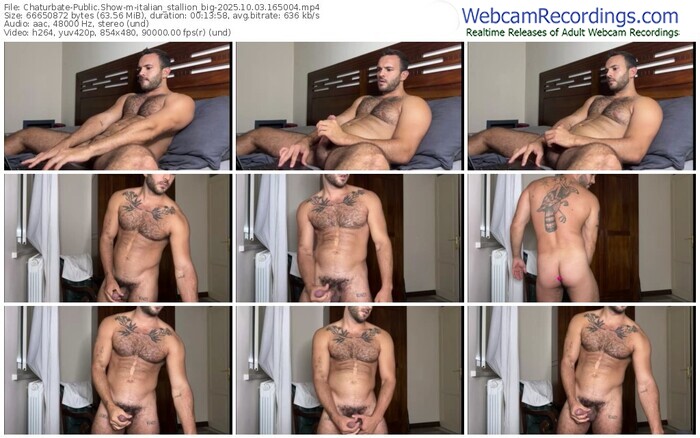 chaturbate-italian_stallion_big-10-03-2025-16-50-04