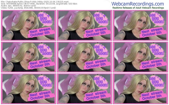 chaturbate-chibi_hibby-10-04-2025-13-02-15