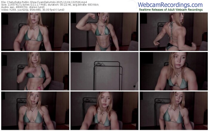 chaturbate-vanillalivitski-10-04-2025-13-25-36