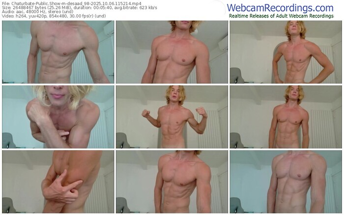 chaturbate-desaad_98-10-06-2025-11-52-14