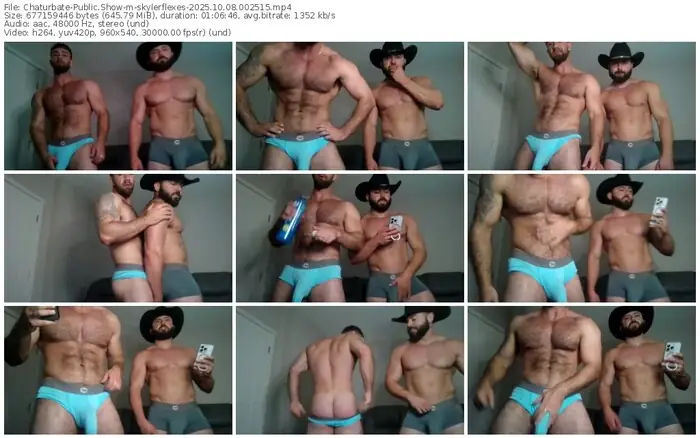 chaturbate-skylerflexes-10-08-2025-00-25-15