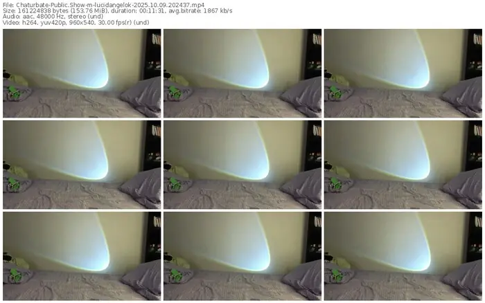 chaturbate-lucidangelok-10-09-2025-20-24-37