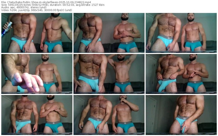 chaturbate-skylerflexes-10-09-2025-23-48-22