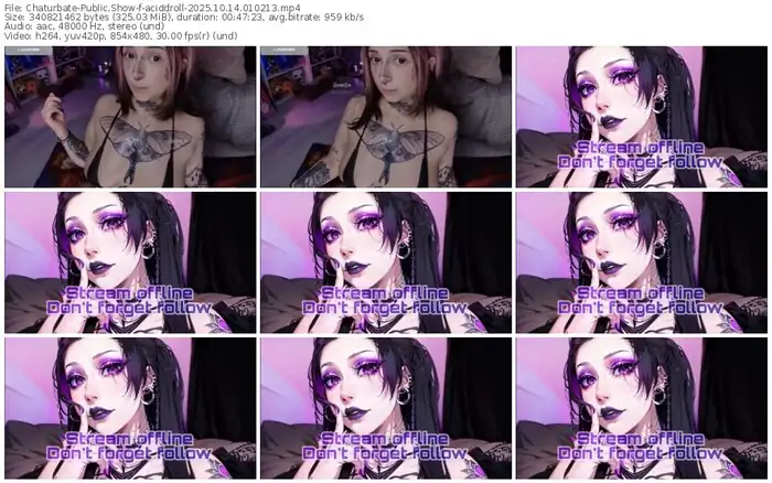 chaturbate-aciddroll-10-14-2025-01-02-13